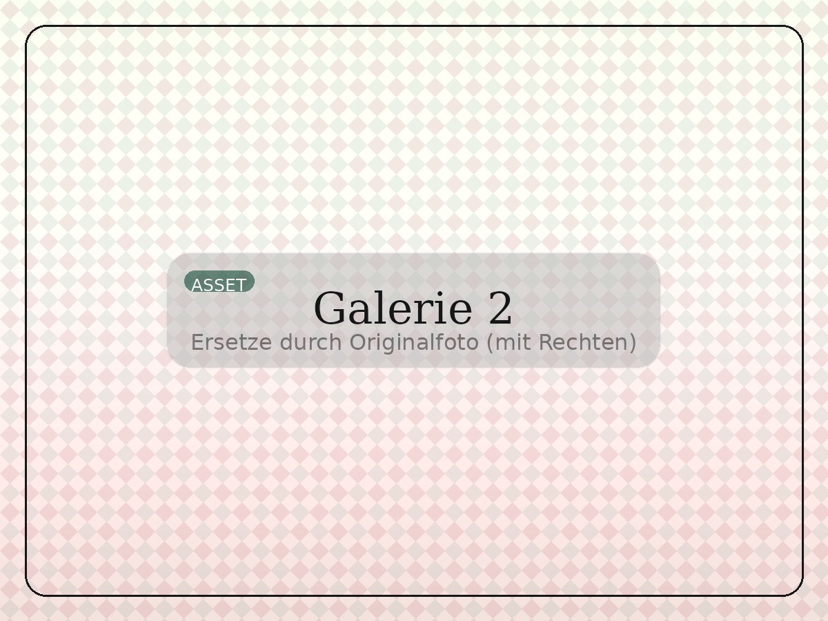 Konzertfoto (Platzhalter)